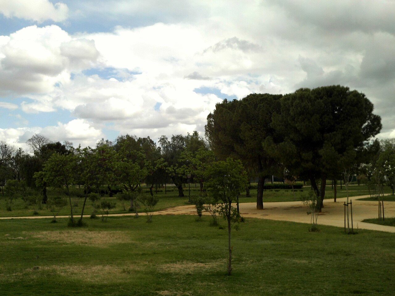 Carrera Cerro-Amate (#Sevilla10) — 10K