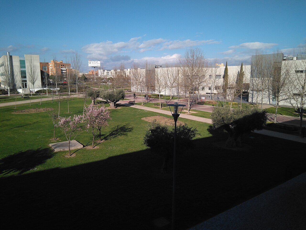 Carrera Solidaria Universidad Rey Juan Carlos - Campus Fuenlabrada — 5K